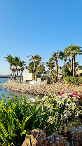 مطعم وكافيه ويف - الضيافة