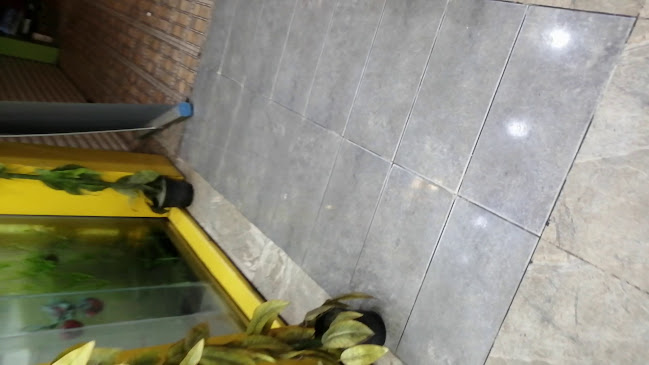 Comentarii opinii despre شاورما باب الزعيم