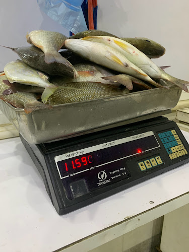 Ikrimah Bin Abi Jahl, الليث 28425