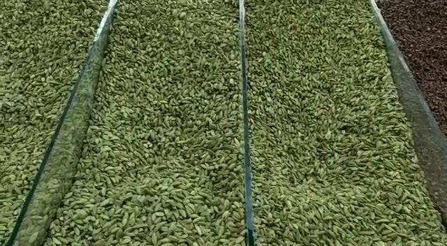 Opinii despre مؤسسة كيف خولان للتجارة الفرع الرئيسي 1 în بيشة - الضيافة