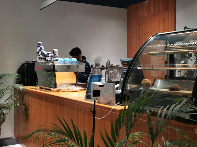 إكولايزر قهوة مختصة - ينبع