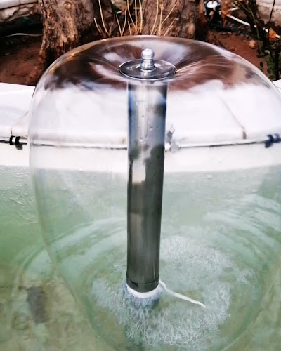 دانكن دونتس - الضيافة