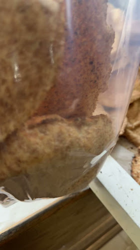 مخبز الفرن المديني - الضيافة