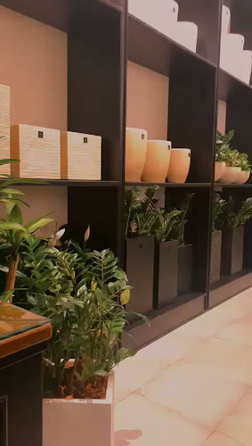 طريق الأمير محمد بن فهد الفرعي، الفردوس، الدمام 34251