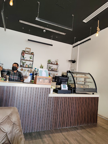 قهوة مختصة روا RAWA cafee