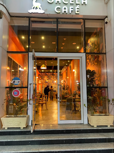 Comentarii opinii despre جاسيلا كافيه