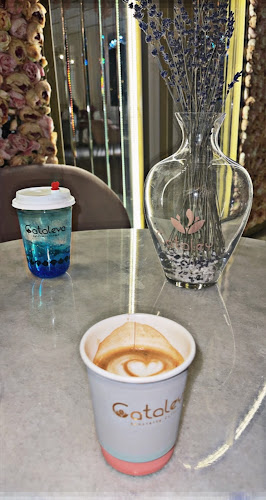 أبو بكر الصديق، الواحة، حفر الباطن 39913