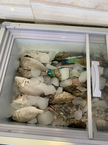 Comentarii opinii despre ‏ناجي عبد الرحيم للأسماك