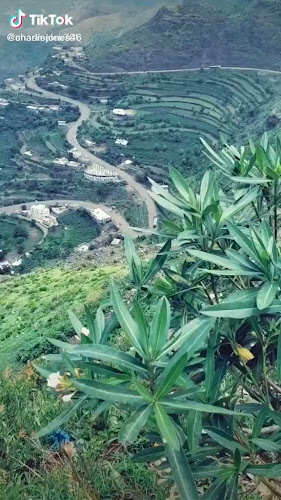 الزاهر، مكة 21955