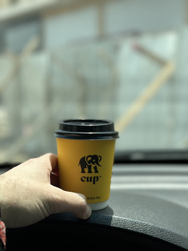 Comentarii opinii despre ايليفنت كب - elephant cup