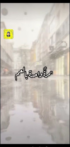 الربوة، حي الربوة، تبوك 47311