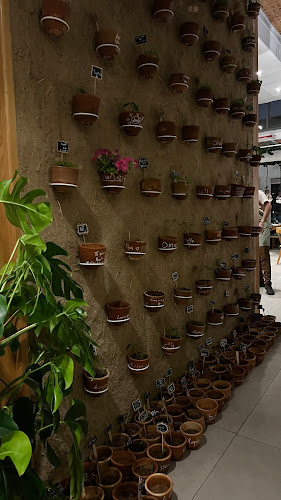 نوى پاتيو Nawa Patio - الضيافة