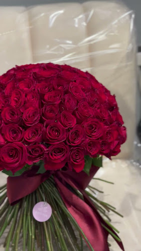 ورود الربيع - الضيافة