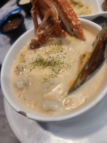 أسماك المينا جده - جدة