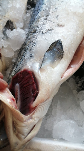 مسمكة قدوره للاسماك الطازجه - الضيافة