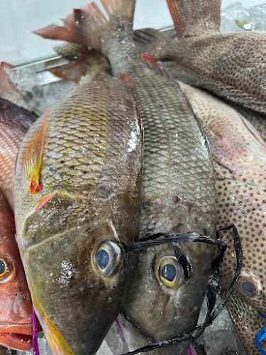 Comentarii opinii despre مطعم اسماك ومخبازة الخيمة للمأكولات الشعبية