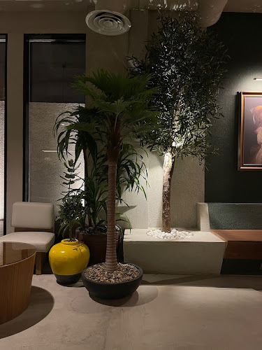 Comentarii opinii despre ريتشوني