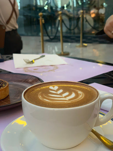 Softservesocity - الضيافة