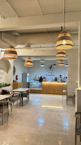 يونكو كافيه - القنفذة