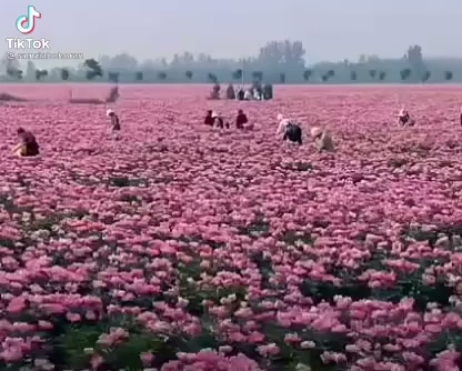 Opinii despre اجمل اللحظات للهدايا والمناسبات în مكة - الضيافة