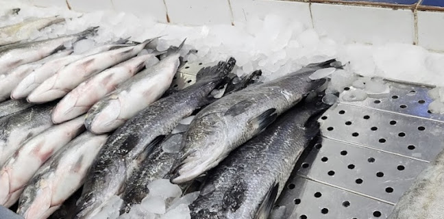 ابن سينا، المروج، الرياض 11564