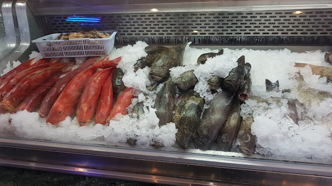 أسماك البحر الأحمر - الضيافة