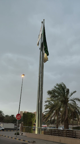 البطريق - الرياض