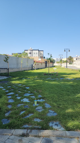 4743، أبها 62527 8178،