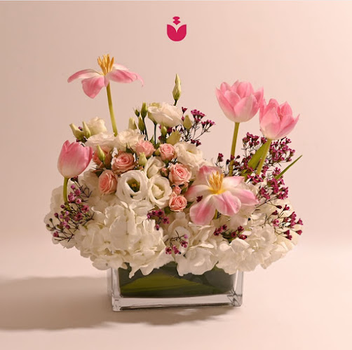 دكة الازهار