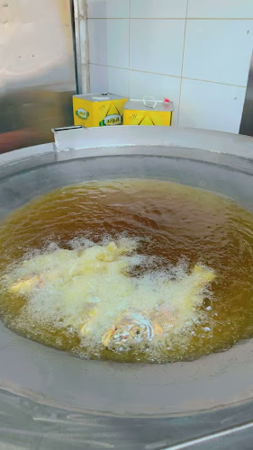 بيت البركة للأسماك