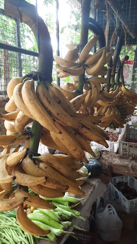 Comentarii opinii despre ديوان القهوة