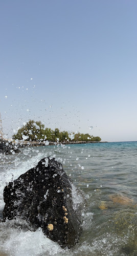 The blue beach - املج