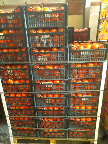 Fayd al karam - الضيافة