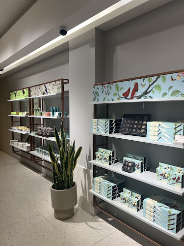 أنوش - الضيافة