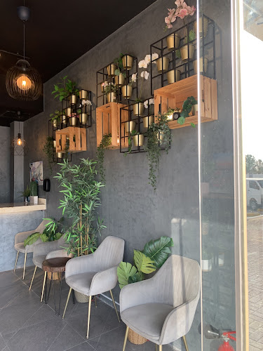 براوني كريب - الضيافة