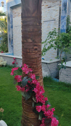 Comentarii opinii despre حنيذ الروشن | Haneeth Alroshen