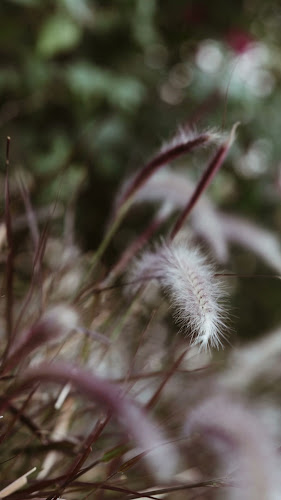 Opinii despre ذا بست جوس الرميله în العمران - الضيافة