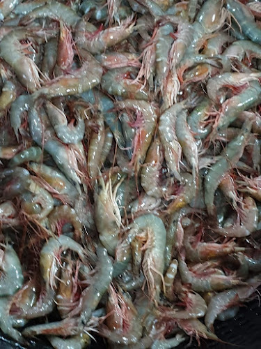 RED SEA FRESH FISH RESTAURANT BISHA مطعم البحر الاحمر