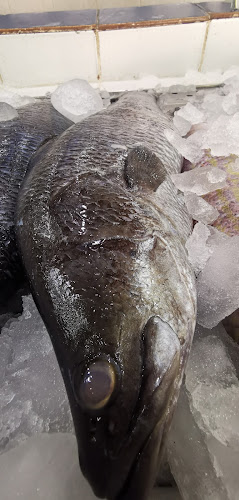 Comentarii opinii despre أصداف الجزر للأسماك