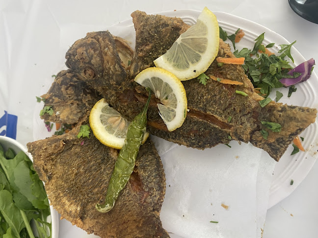 أسماك نوارة الإسكندرية - الضيافة