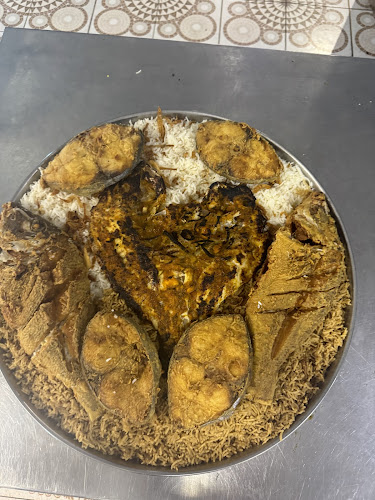 أسماك أمي العودة