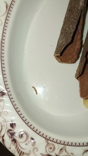 حي، شارع حراء، شارع ازجاجي تلفون ٠٥٠٤٦٨٢٧١١، جدة