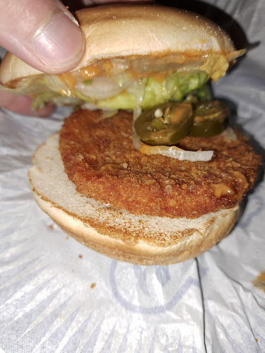 هرفي - الضيافة