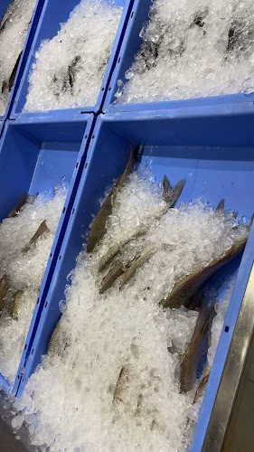 Comentarii opinii despre مطعم ايون قريش