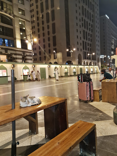 FJF6+HGF، طريق الملك فهد، بضاعة، المدينة المنورة 42311