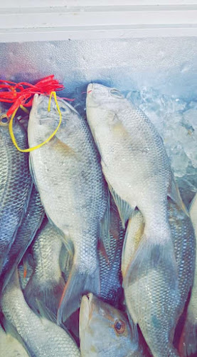 طريق الأمير عبدالمحسن بن عبدالعزيز، الجمعة، المدينة المنورة 42315