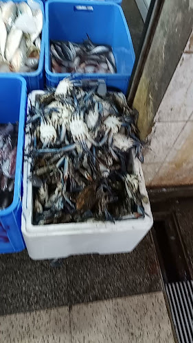 8814 طريق الملك عبدالله الفرعي، الوبرة، المدينة المنورة 42371