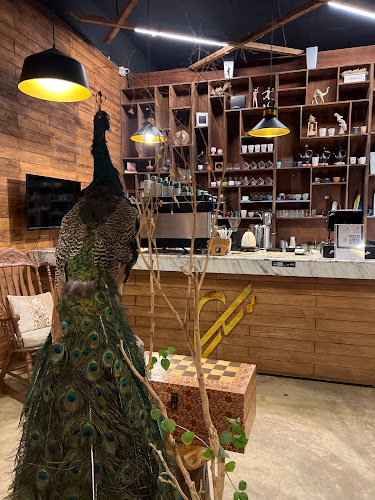 رتل كافيه - الضيافة