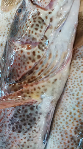 محل بدر عبد الروؤف المطرود