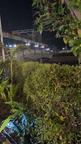 Comentarii opinii despre مطعم وكافيه ويف